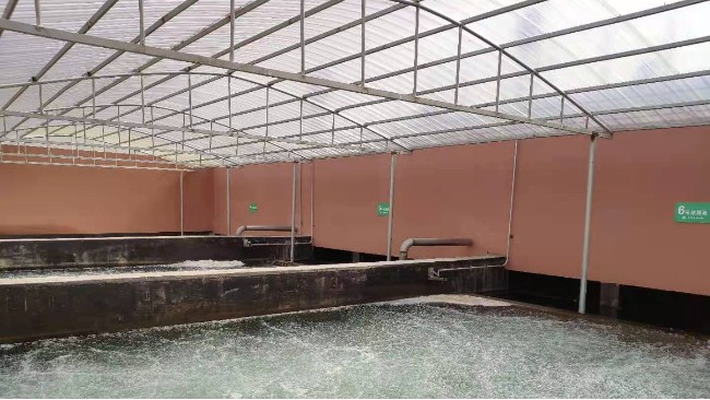 博取COD、氨氮及總磷分析儀應用于江西農村污水廠水質的監測